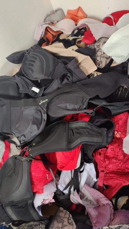 Photo gallery from 20230706, image 6