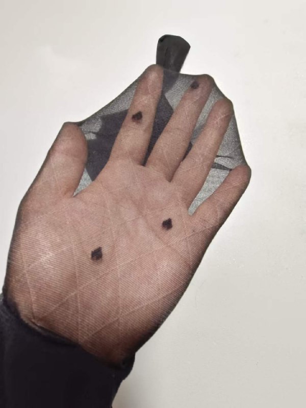 Photo gallery from 20230803, image 7