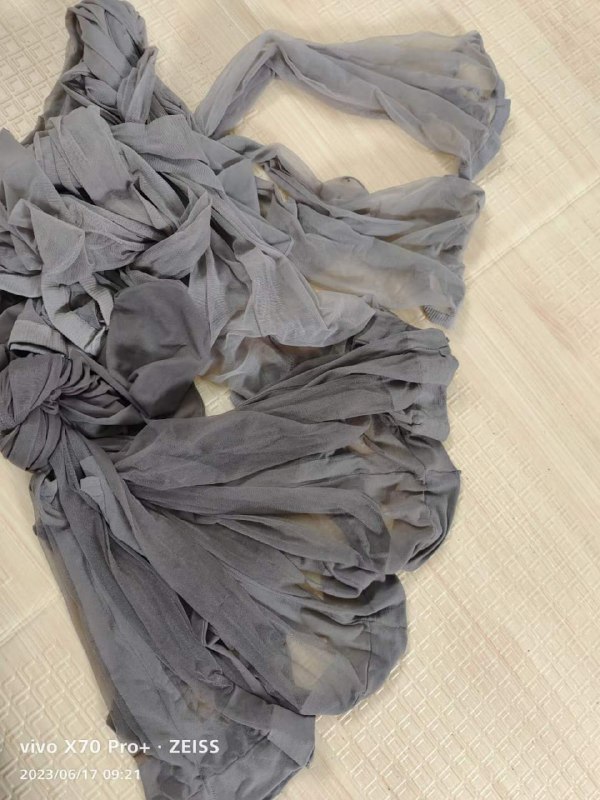 Photo gallery from 20230617, image 7