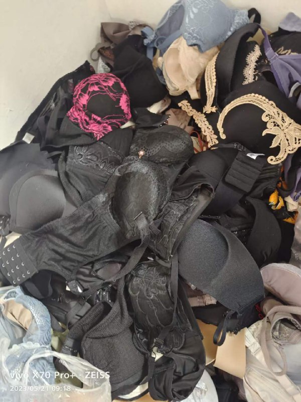 Photo gallery from 20230521, image 6