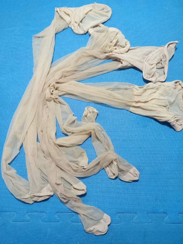 Photo gallery from 20230617, image 12