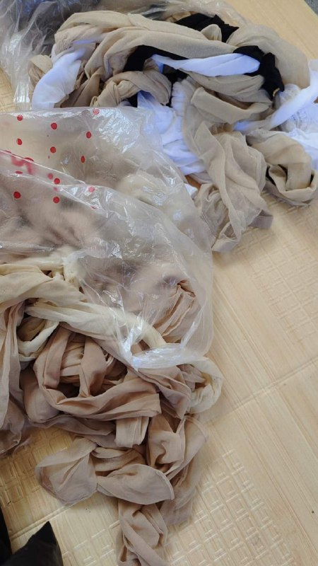 Photo gallery from 20240123, image 10