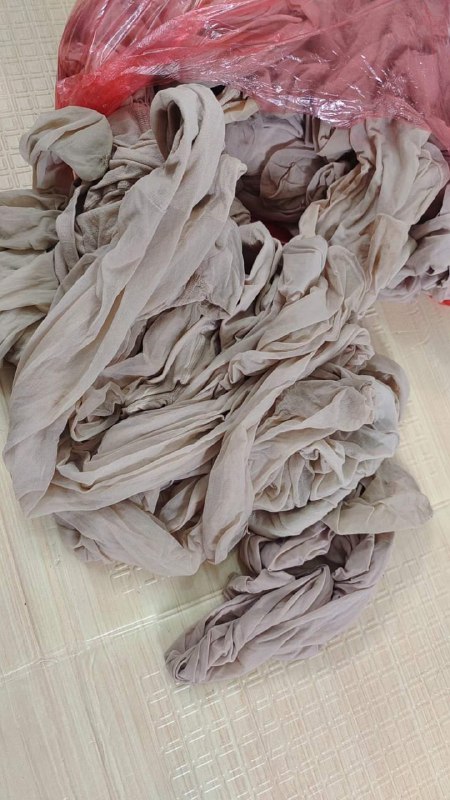 Photo gallery from 20231006, image 11