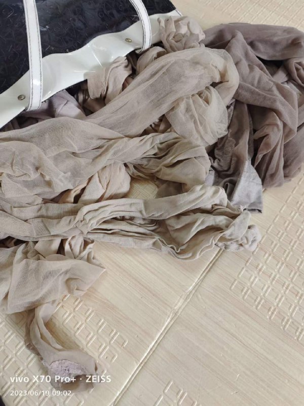 Photo gallery from 20230619, image 5