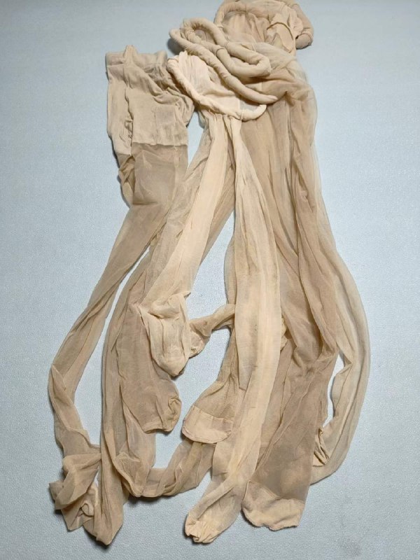 Photo gallery from 20230827, image 7