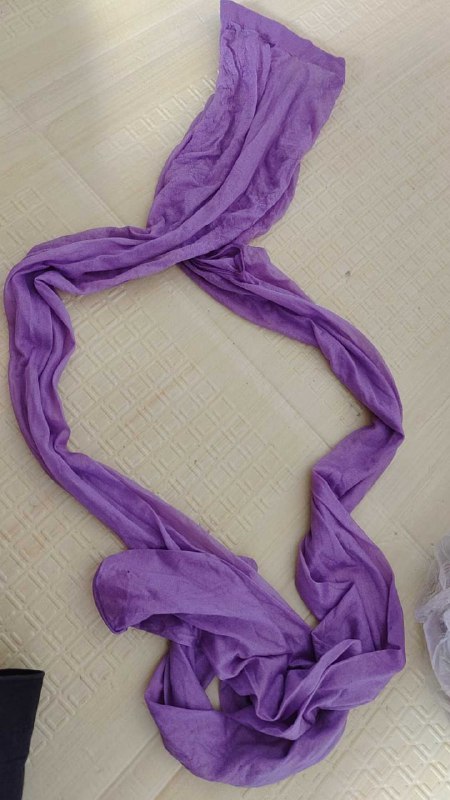 Photo gallery from 20250723, image 10