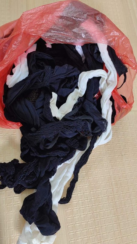 Photo gallery from 20230826, image 6