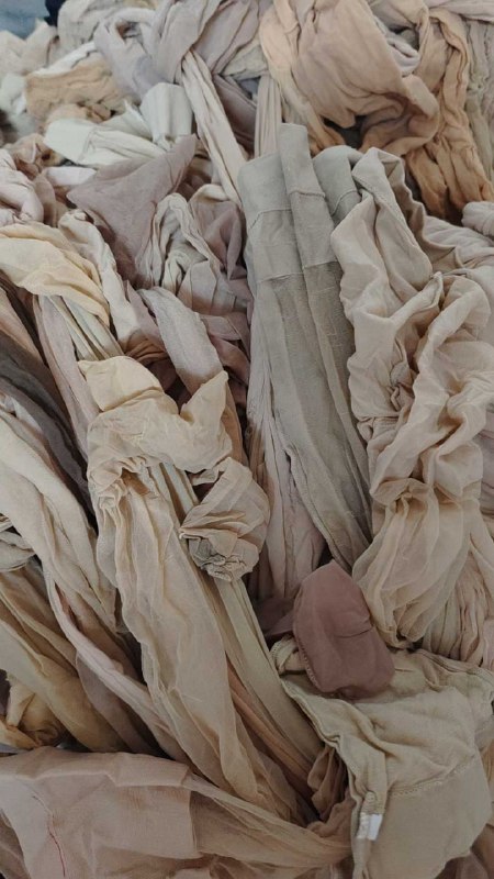 Photo gallery from 20250726, image 8