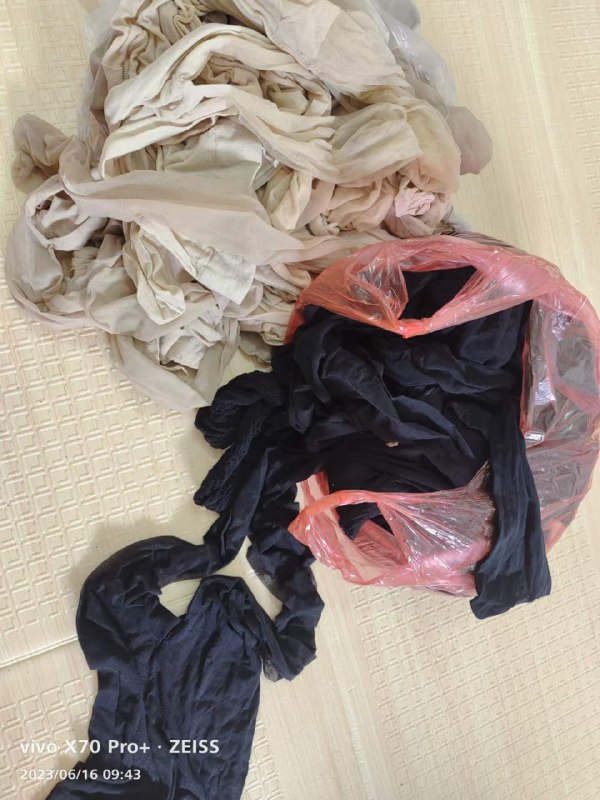 Photo gallery from 20230616, image 8