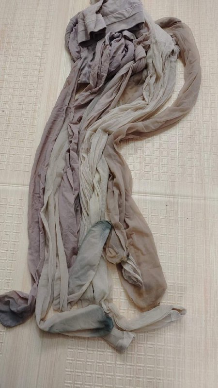 Photo gallery from 20231212, image 7