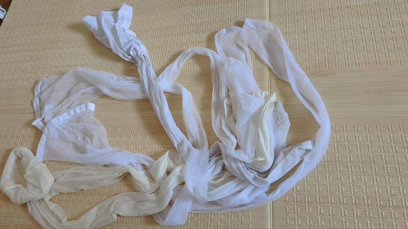 Photo gallery from 20230807, image 5