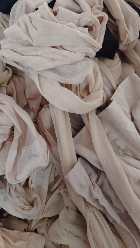 Photo gallery from 20230816, image 11