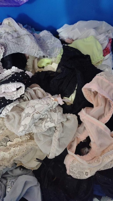 Photo gallery from 20240203, image 5