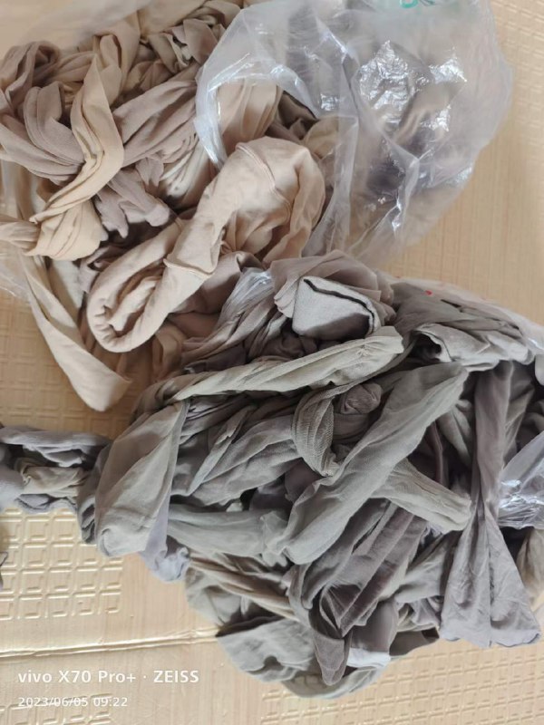 Photo gallery from 20230606, image 11