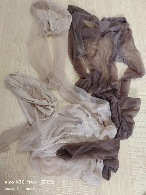 Photo gallery from 20230611, image 5