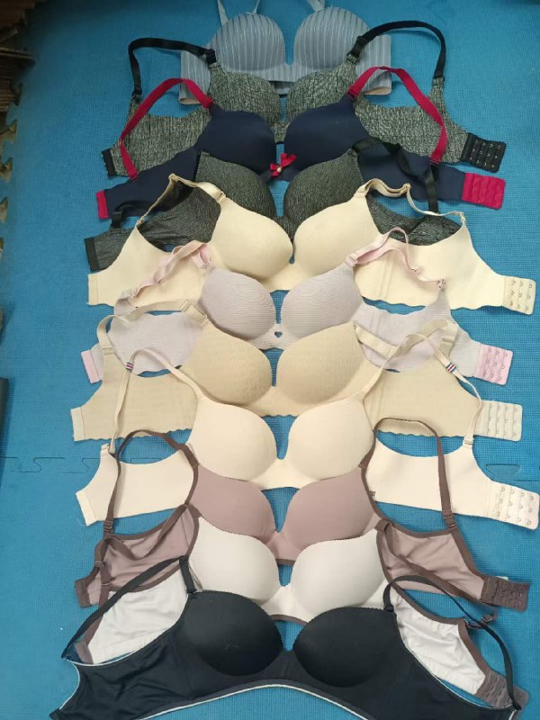 Photo gallery from 20230606, image 7