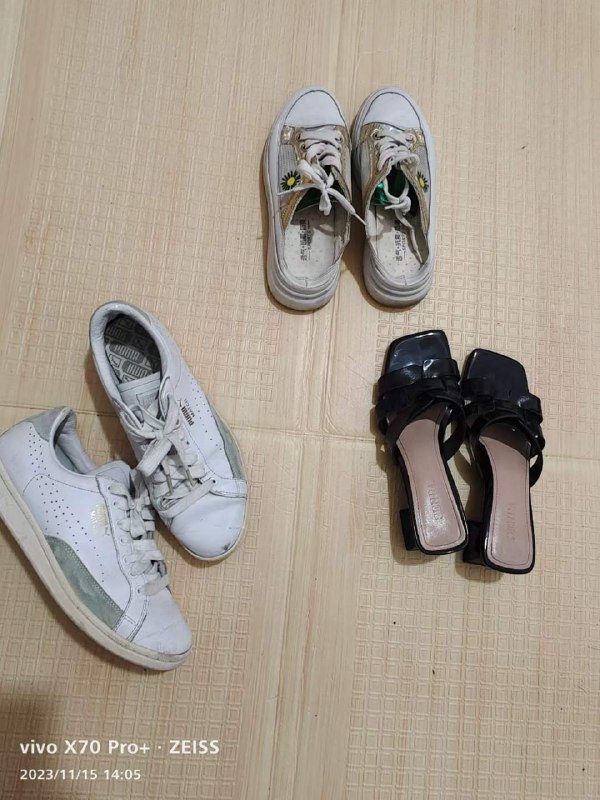 Photo gallery from 20231115, image 9