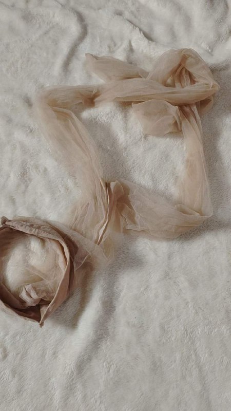 Photo gallery from 20230911, image 6