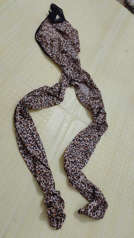 Photo gallery from 20250811, image 9