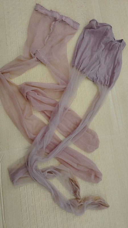 Photo gallery from 20250821, image 10