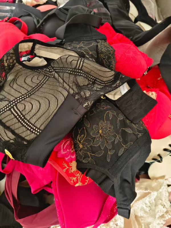 Photo gallery from 20251016, image 5