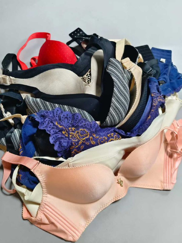 Photo gallery from 20250919, image 8