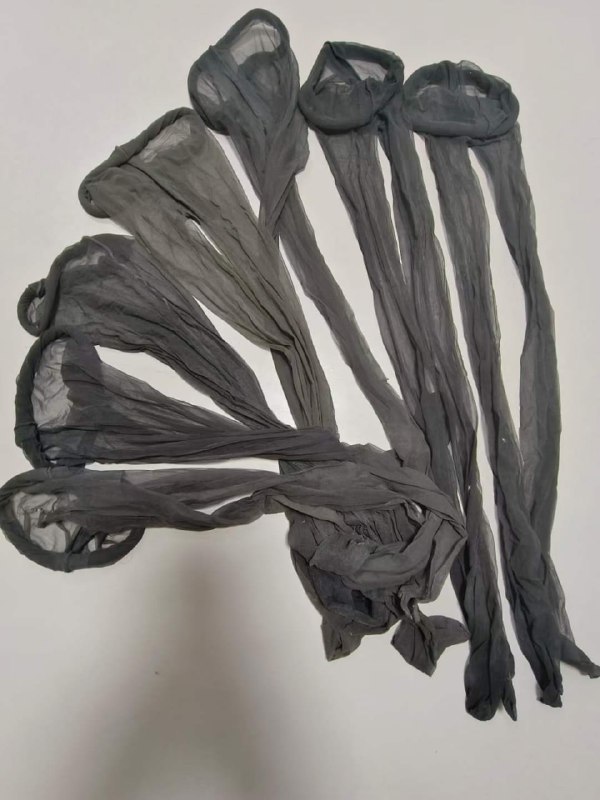 Photo gallery from 20240607, image 11