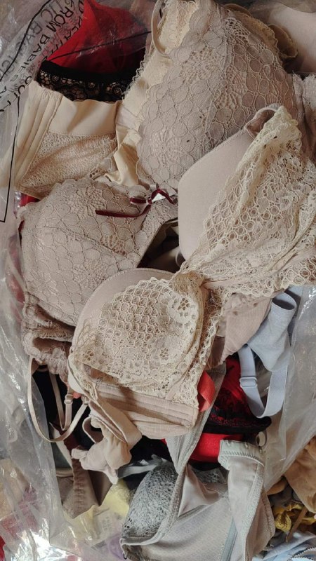 Photo gallery from 20240101, image 10