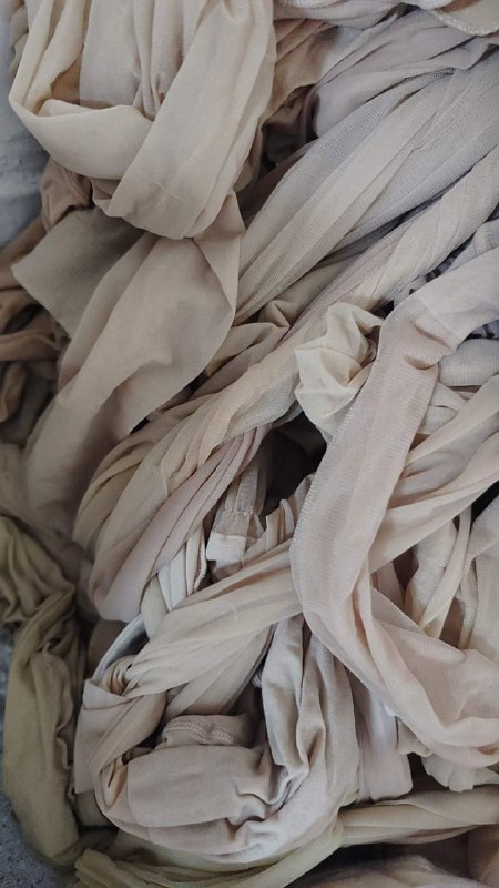 Photo gallery from 20230809, image 5