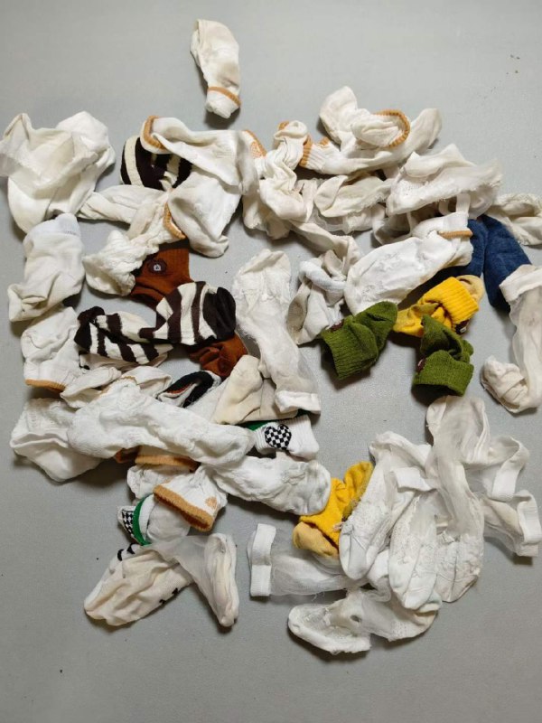 Photo gallery from 20231109, image 12