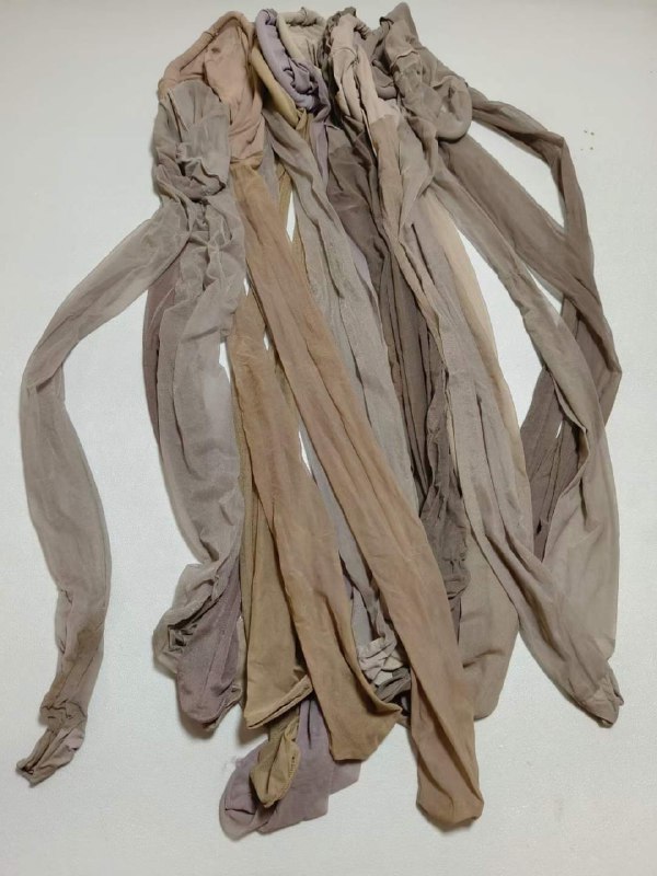 Photo gallery from 20230910, image 11