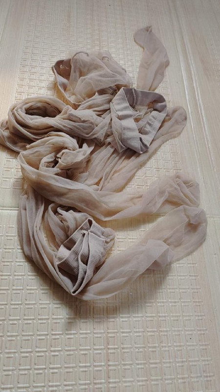 Photo gallery from 20231017, image 12