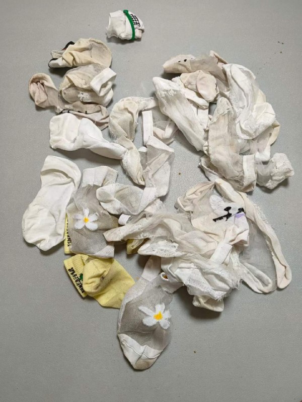 Photo gallery from 20231017, image 5