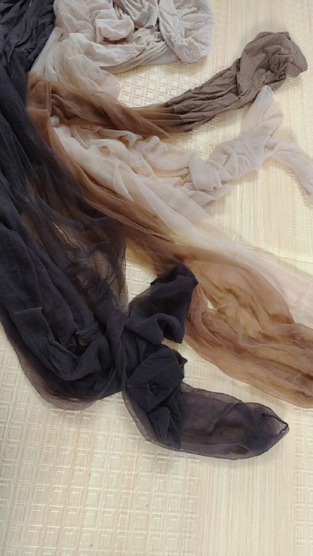 Photo gallery from 20230925, image 10