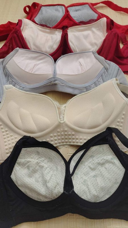 Photo gallery from 20230914, image 7