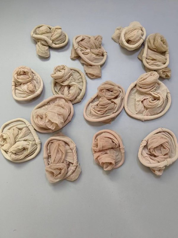 Photo gallery from 20240408, image 6