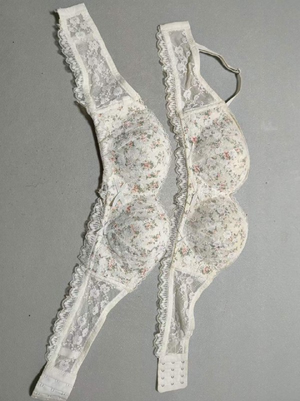 Photo gallery from 20231107, image 7