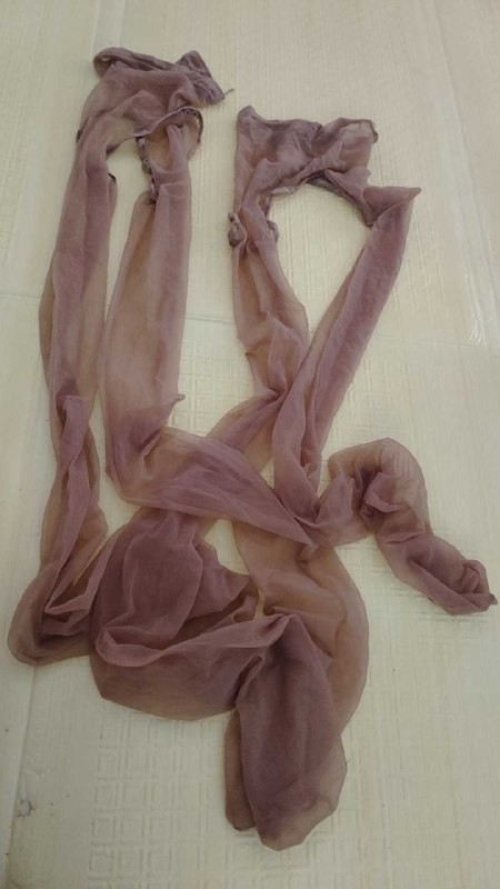 Photo gallery from 20250804, image 7