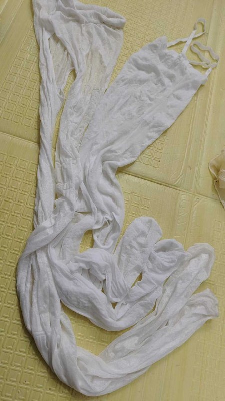 Photo gallery from 20251106, image 6