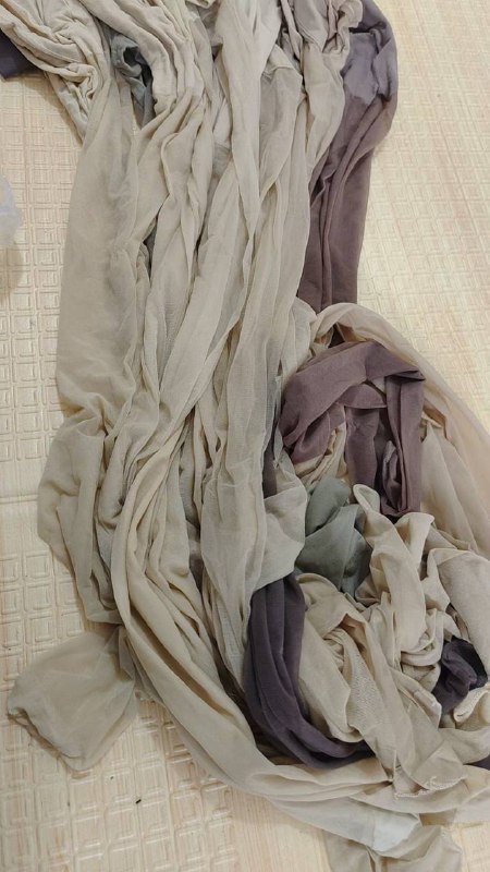 Photo gallery from 20240326, image 10