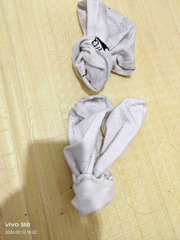 Photo gallery from 20260210, image 10