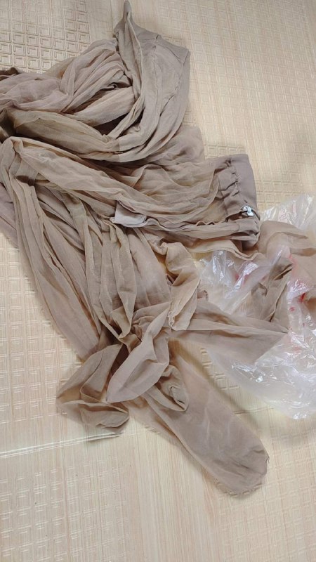 Photo gallery from 20230804, image 8