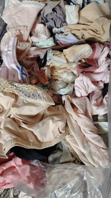 Photo gallery from 20250726, image 6