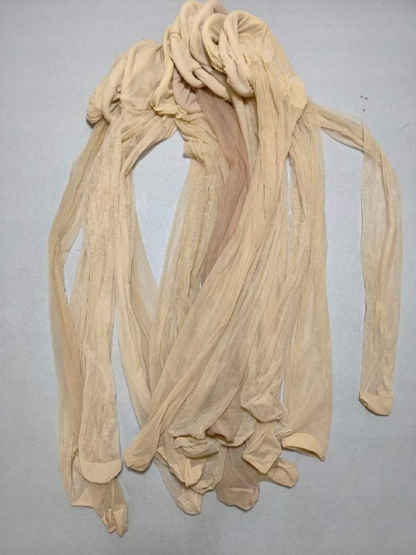 Photo gallery from 20231028, image 8