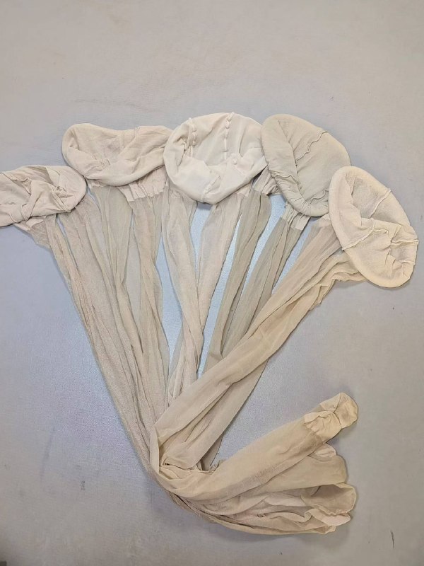 Photo gallery from 20260408, image 7