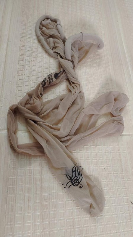 Photo gallery from 20231006, image 10