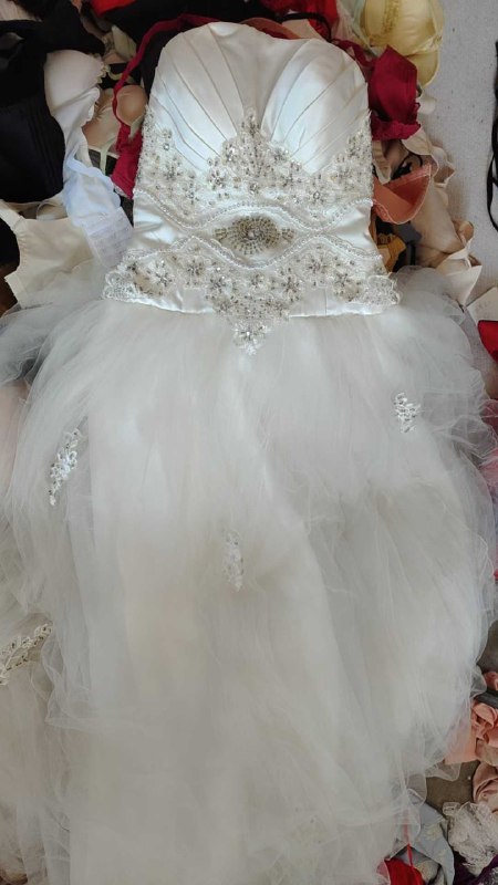 Photo gallery from 20251005, image 8