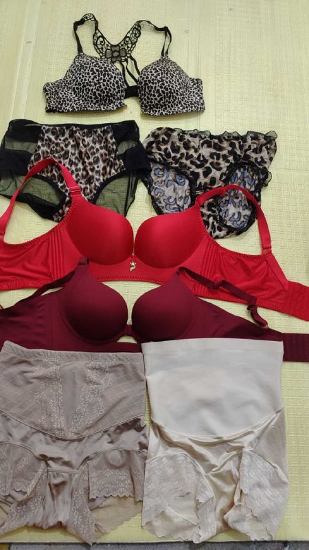 Photo gallery from 20251110, image 7