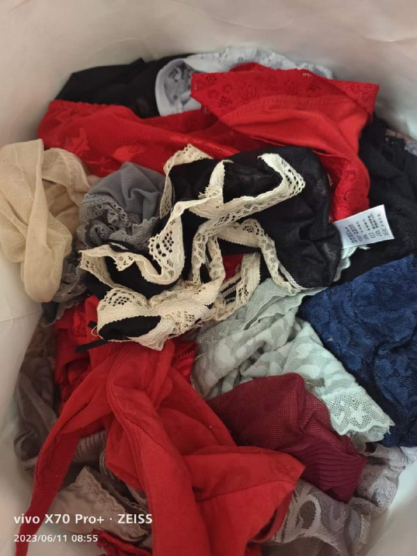 Photo gallery from 20230611, image 9