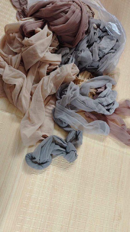 Photo gallery from 20230801, image 3